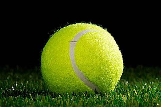 甚至一举走 甚至一举走