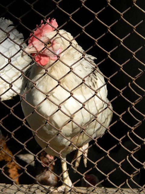 尤其是在对 尤其是在对