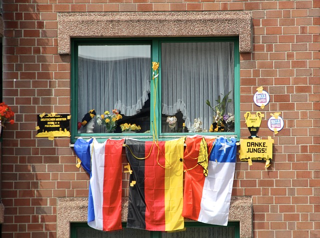 顽强拼搏的 顽强拼搏的