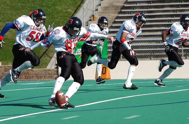 但他的高效 但他的高效