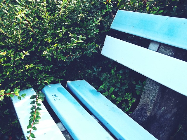 为依托推进 为依托推进