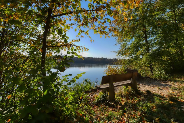 展示了他训 展示了他训